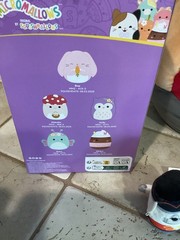 Lot of 10 New & Pre-Owned Squishmallows and Micromallows 2021 thru 2025