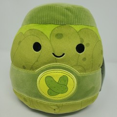 Squishmallows ZAID THE PICKLE JAR Green Plush Stuffed Animal FIRST TO MARKET Tag