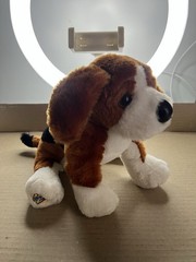 Webkinz