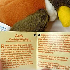 Vintage Smithsonian Back Yard Robin Bird Plush Hangtag 7 Inch Small 1994