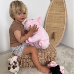 Pig Stuffed Animal, 16 Inch Mommy Pig Plush with 4 Soft Cuddly Baby Piggy Plu…
