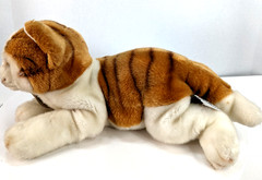 Yomiko Classic 2019 Britsh Short Hair Ginger Stuff Collectable Plushie Kitty Cat