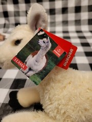 Aurora 12″ Llama Flopsie Plush Stuffed Animal Toy #31155