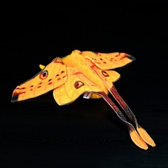 40CM Realistic Comet Tail Moth Plush Toy Stuffed Animal Collectible Insect Gift