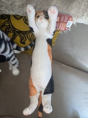 SDCC UCC Exclusive Crazy Kitten 20” Standing Cat Plushies (SET OF 2)