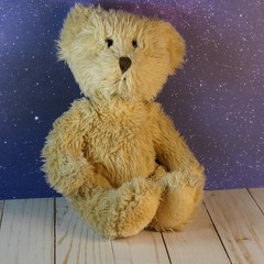 Soft Classics Vintage Toys R Us Geoffrey Inc. Plush Teddy Bear Brown 1995 12”