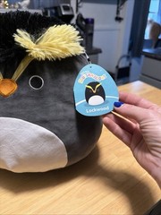 Squishmallows Lockwood The Rock Hopper Penguin Plush 8 Inch Fast Shipping NWT