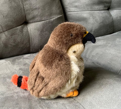 Wild Republic Red Tailed Hawk Plush Birds of Prey Series 6” NO SOUND