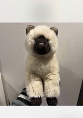 Douglas Cuddle Tasha Siamese Himalayan Kitty Cat Plush Pink Tag Rare+ FREE GIFT