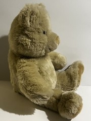 Noah’s Ark Animal Workshop Teddy Bear Rainbow Star On Foot 12” Plush Beige Soft