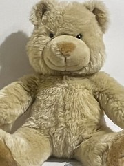 Noah’s Ark Animal Workshop Teddy Bear Rainbow Star On Foot 12” Plush Beige Soft