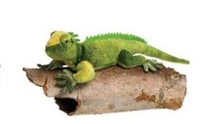 Fiesta Toys Wild Animals Series Stuffed Animal Iguana Plush 12” A05783 Reptile