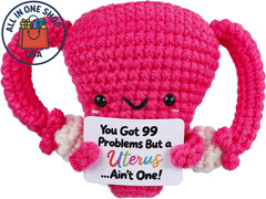Handcrafted Uterus Plush Toy – Supportive Gift for Hysterectomy Recovery