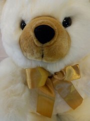 Teddy Bear Plush Animal New