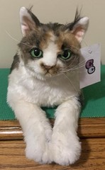 Cuddle Clone Cat – Short Fur Calico