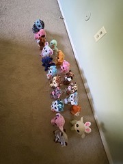 Beanie boos 20 different ones