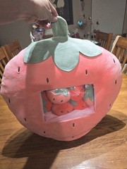 REFAHB Strawberry Big Pink Throw Pillow with Removable Mini Plush Strawberries