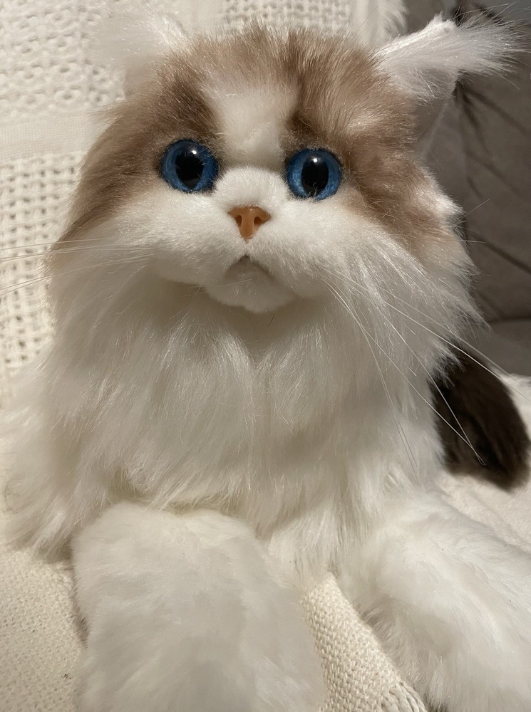 Chongker Ragdoll Cat Plush Weighted 3lbs Medium 14-24″ Blue Eyes Realistic Pet