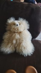 Alpaca Fur Teddy Bear SOFT Furry Tan Cream Apprrox. 10″ Stuffed Animal Plush