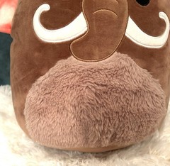 Squishmallow 12″ Chienda Wooly Mammoth Soft Tan Prehistoric Plush-EUC-FREE SHIP