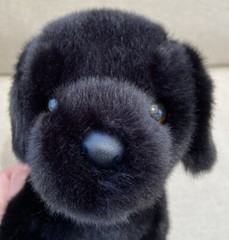 BRESTER the Plush BLACK LAB Dog Stuffed Animal – by Douglas Cuddle Toys – #1883