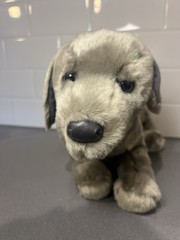 Cassie 16″ Weimaraner Dog Stuffed Animal Douglas Plush Cuddle silver retriever
