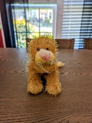 Webkinz Lioness HM193 NO Code Active Plush Stuffed Animal GANZ 2008