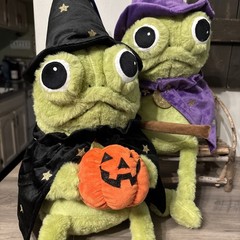 Moonlight Manor Frog Wizard & Frog W/ Pumpkin Plush Green/Purple Halloween NEW