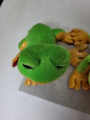 Webkinz Ganz Lil Kinz Green Tree FROG Plush Stuffed Animal Amphibian Toad HS109