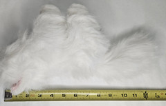 Webkinz White Persian Cat Plush HM110 SEALED CODE 8” Retired Ganz NOS