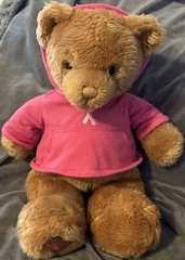 Gund Macy’s Breast Cancer Plush Teddy Bear Pink Hoodie Awareness Ribbon 20”