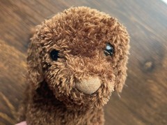 Douglas Cuddle Toys Chocolate Labrador Dog Brown Plush 6 inches 2009 Stuffed