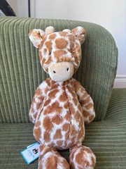 Jellycat Bashful Giraffe Brand New with tags