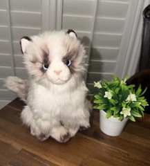 Bearington Cat Stuffed Animal Realistic Plush Lifelike Himalayan Kitty Tags