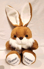 Some Bunny Loves You Brown White Bunny Rabbit Plush Easter Stuffed Animal 14″