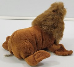 M) Wide Way Plush Stuffed Seal Sea Lion Walrus Animal Toy