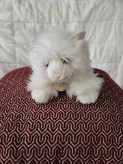 Kitty Cat Miyoni By Aurora White Turkish Angora Cat Kitten 8″ Yellow Eyes Plush