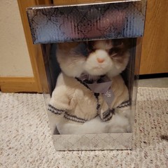Taylor Swift Folklore Album Cardigan Plush Cat IN HAND! BRAND NEW! SHIPS NOW!
