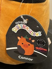 Squishmallows 8” Pumpkin CONNOR & TANGIE Select Series Mallow Mash 2024 NEW!