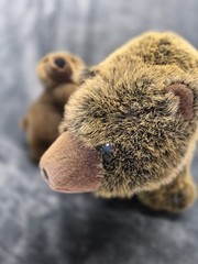 Lelly National Geographics Plush Grizzly Bears Mom and Baby 12″ Tall No Tags