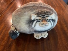Pallas Cat Plush 3D Novelty Stuffed Animal Decorative Pillow 13″