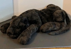 Vintage 1998 Manhattan Toy Co. Black Panther Leopard Plush Stuffed Animal Plush