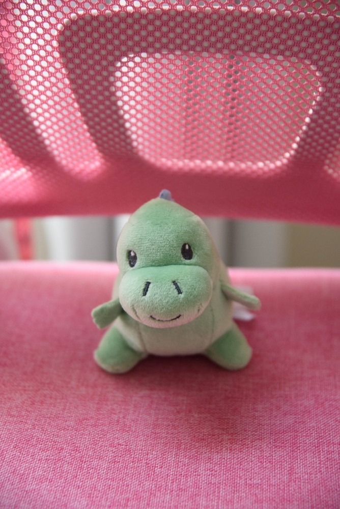 Carter’s Green Dinosaur Plush mini Toy
