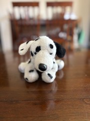 Retired Webkinz Dalmatian HM123 Ganz Plush No Code Tush Tags EUC