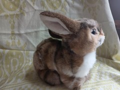 NEW! Steiff Rabbit “Putsi”, All Tags Attached