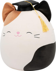 Original 12In Cam the Calico Cat in Graduation Cap – Official Jazw