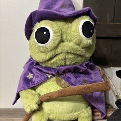 Moonlight Manor Frog Wizard & Frog W/ Pumpkin Plush Green/Purple Halloween NEW