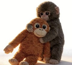 Punch Monkey Stuffed Animal 9.8″ Soft Plush Toy Cute Cuddly Monkey Doll