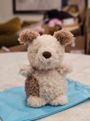 Jellycat LITTLE PUP – Small 7″ Stuffed Animal Dog Plush Brown & Cream AUTHENTIC