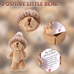 Mini Plush Worry Bear with a Hat, Handmade Positive Small Plush Bear in a Box wi